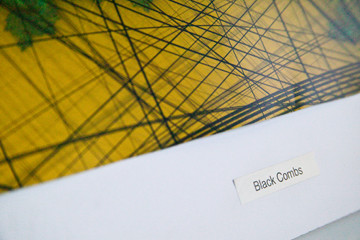 Black Combs - photo