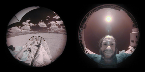 Infrared Fisheyes - image